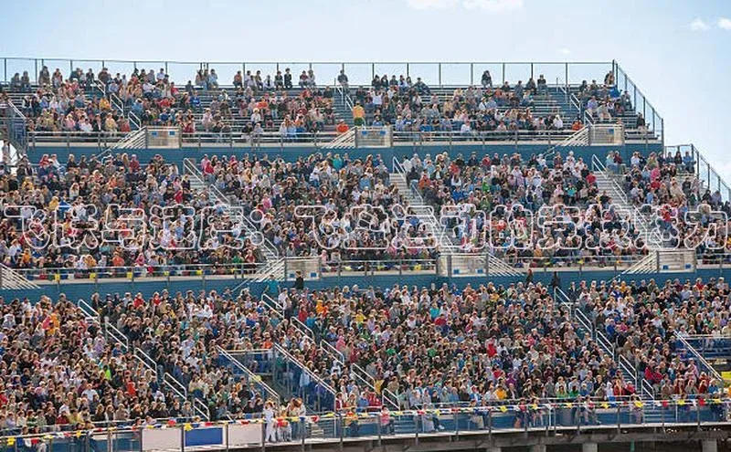 2121非凡网页版百度手机助手飞跃与速度：飞盘运动的竞技魅力