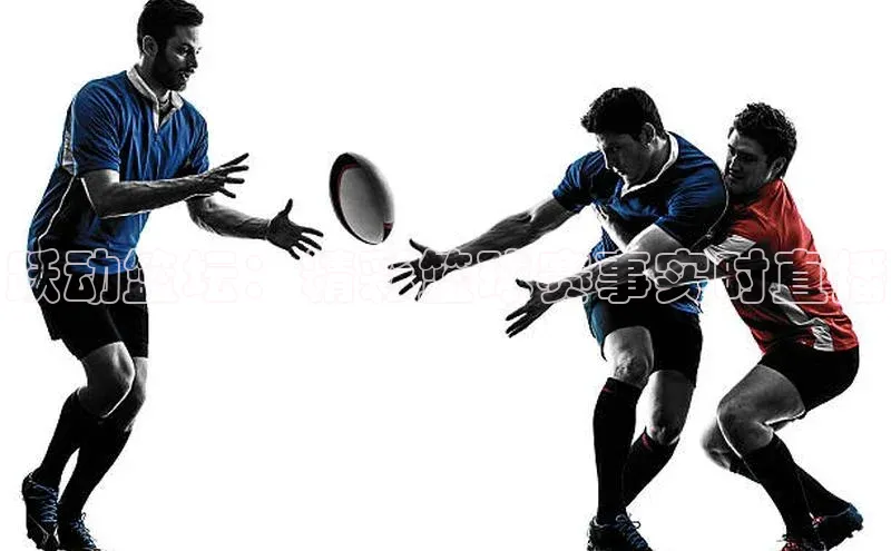跃动篮坛：精彩篮球赛事实时直播