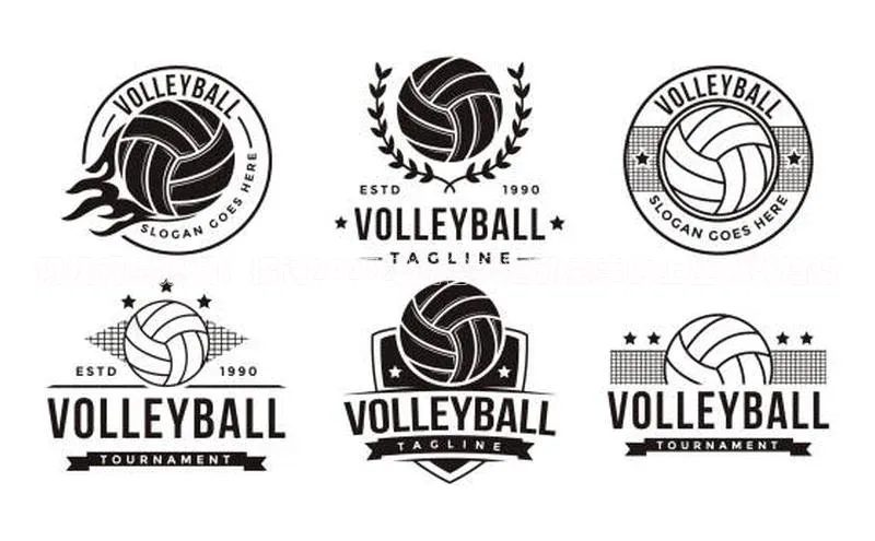 现场观赛热潮：探讨2023年度各大运动赛事的上座人数趋势