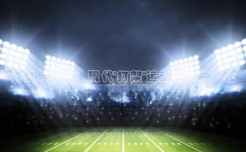 冲突与平衡：现代\'打架\'运动赛事的文化