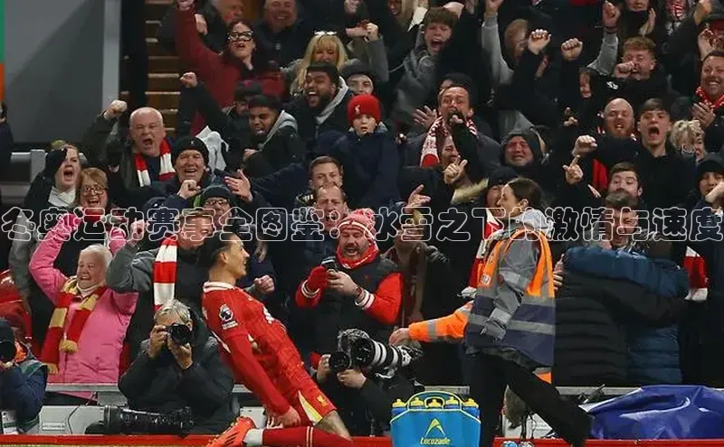 冬奥运动赛事全图鉴：冰雪之下的激情与速度