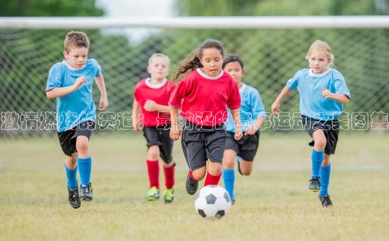 激情燃烧的赛道：最前沿的赛事运动之美图集