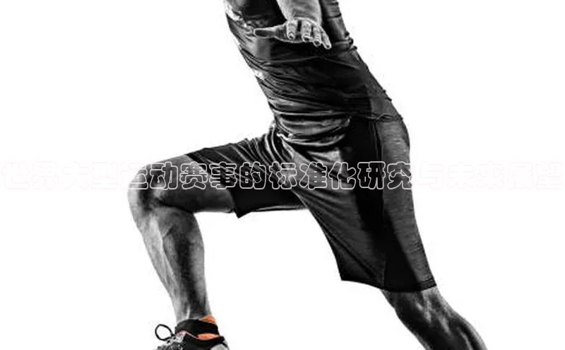 世界大型运动赛事的标准化研究与未来展望