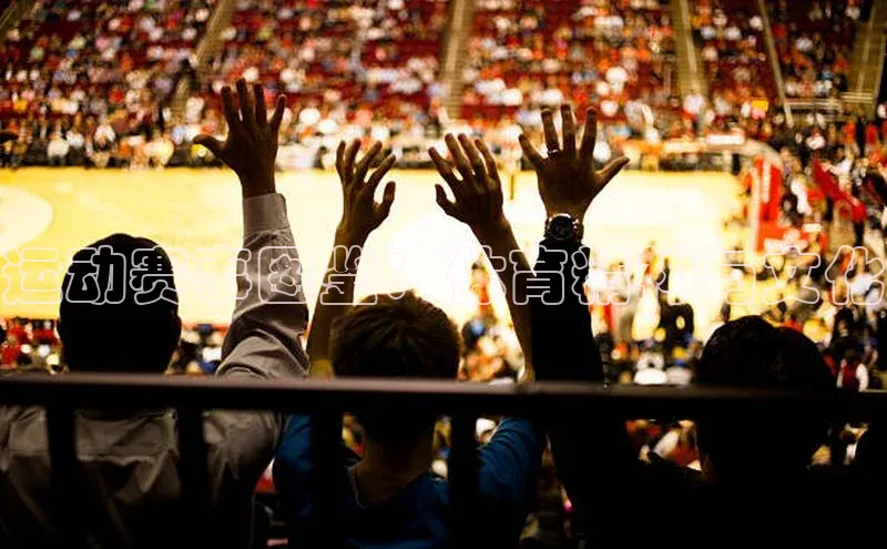 运动赛事图鉴：体育精神与文化