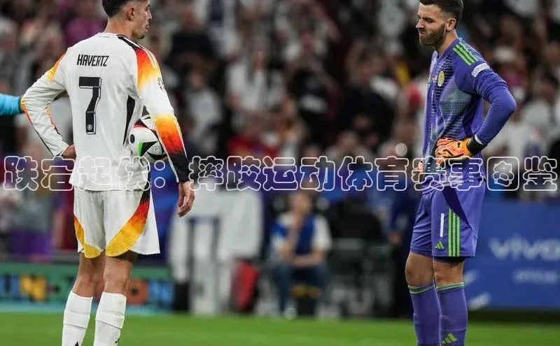 非凡体育平台登录入口