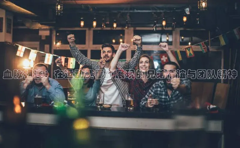 非凡体育平台登录入口