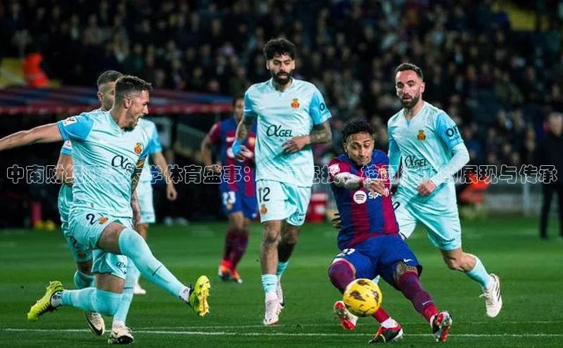 中南财经政法大学体育盛事：多元竞技，校园活力的展现与传承